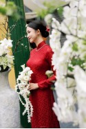 LỤA HĐ 274 (CÔNG+VẢI)
